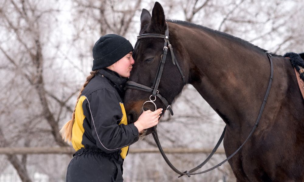 Equine Therapy for PTSD